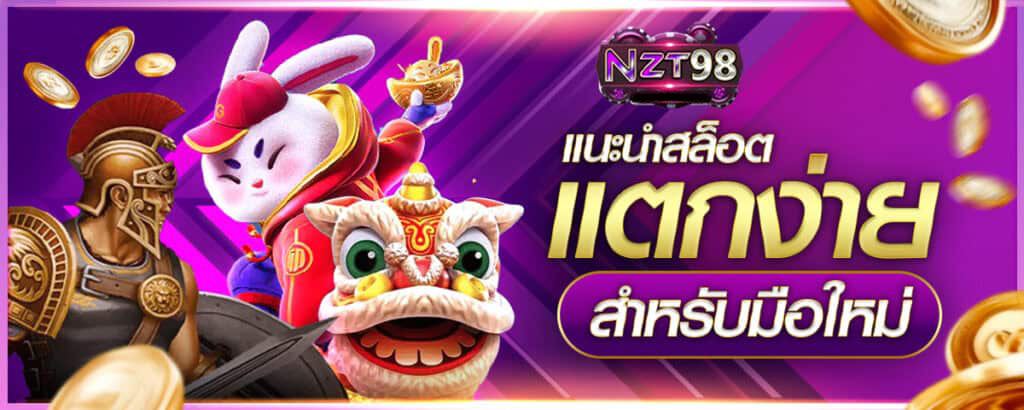 nzt98 ทาง เข้า